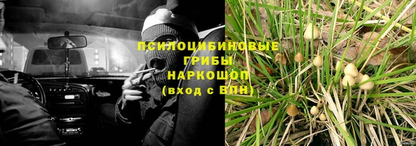 гашик Балахна