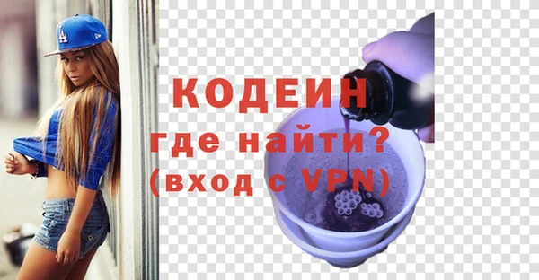 гашик Балахна